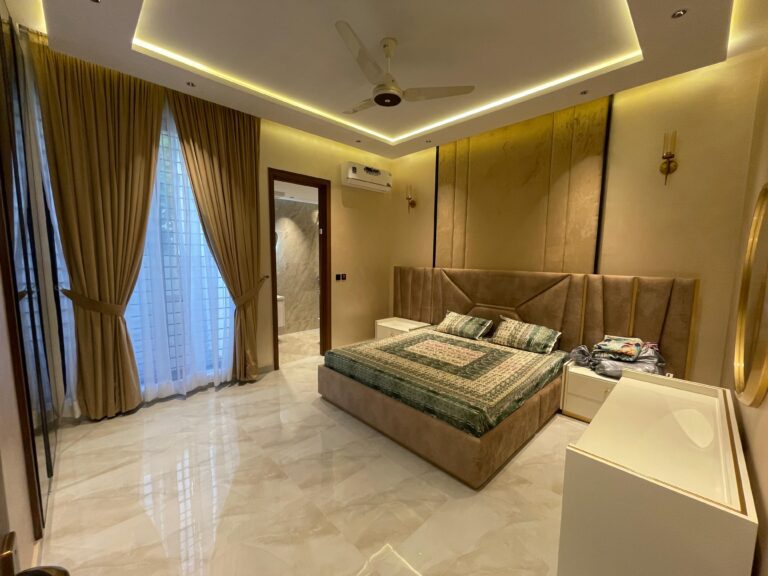 WhatsApp Image 2025-10-15 at 14.24